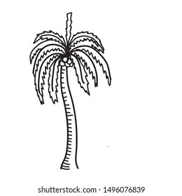 Coconut beach tree summer icon palm  design clipart hand drawn vector 