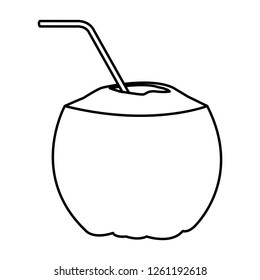 coconut beverage icon
