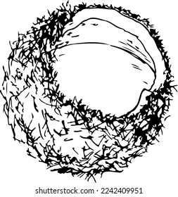 Coconut black and white vector illustration isolated on a white background.