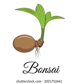 coconut bonsai logo design, cool typography on a white background