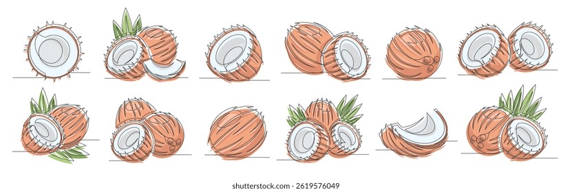 Coconut brown continuous one line drawing set. Outline coconut fruit icon collections isolated on a white background. Editable stroke. Vector illustration