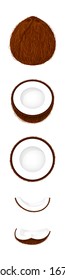 coconut brown fruit and half cut isolated on white background, illustration coconut brown half slice for clip art, coconut simple for icon, vector