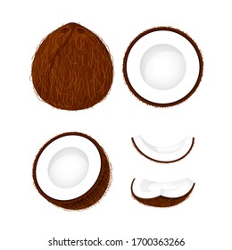 coconut brown fruit and half cut isolated on white, illustration coconut brown half slice for clip art, coconut simple for icon, vector