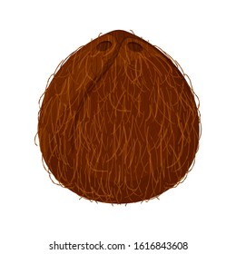 coconut brown fruit isolated on white background, illustration coconut brown for clip art, coconut simple for icon