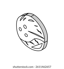 coconut brown isometric icon vector. coconut brown sign. isolated symbol illustration