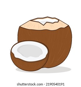 coconut. coconut brwn vector logo design icon illutration wallpaper background