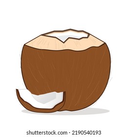 coconut. coconut brwn vector logo design icon illutration wallpaper background