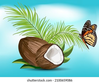 Coconut and butterfly in illustration.Vector illustration with coconut, butterfly and palm leaves on a colored background.