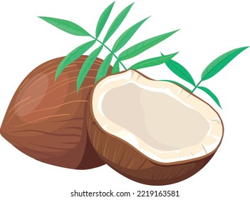 Coconut cartoon icon. Open tropical nut with white milk isolated on white background