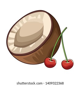 coconut and cherries icon cartoon