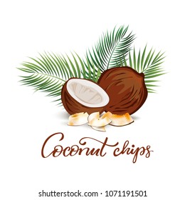 Coconut chips illustration. Good for food designs and labels