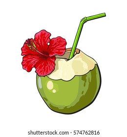 Coconut cocktail, drink decorated with red hibiscus flower, summer vacation attribute, sketch vector illustration isolated on white background. Hand drawn coconut drink, cocktail with straw and flower