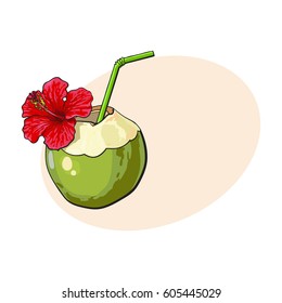 Coconut cocktail, drink decorated with red hibiscus flower, summer vacation attribute, sketch vector illustration with place for text. Hand drawn coconut drink, cocktail with straw and flower