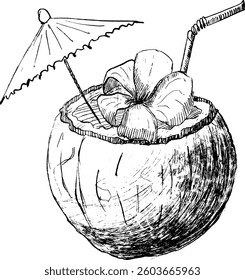 Coconut cocktail with flower. Exotic drink with bar umbrella. Vector graphic ink illustration isolated on white background.

