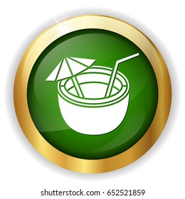 coconut cocktail icon