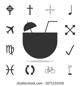 Coconut cocktail icon. Detailed set of web icons. Premium quality graphic design. One of the collection icons for websites, web design, mobile app on white background