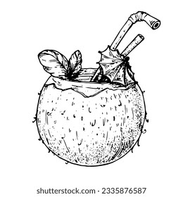 Esbozo de cocteles de coco, ilustración vectorial. Cóctel de playa. Ilustración de cóctel alcohólico a mano. Objeto aislado
