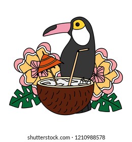 coconut cocktail toucan flower tropical summer