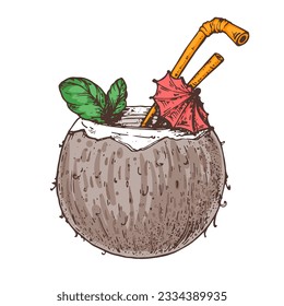 Coconut cocktail vector illustration. Beach cocktail. Alcoholic cocktail hand drawn illustration. Isolated object