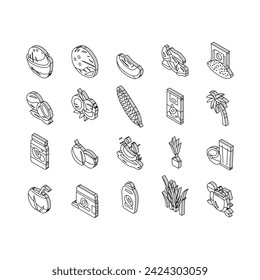 coconut coco fruit fresh white isometric icons set. half milk, tropical oil, green nut, juice drink, food, brown whole natural water coconut coco fruit fresh white color line