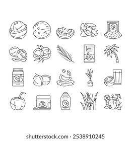 coconut coco fruit fresh white icons set vector. half milk, tropical oil, green nut, juice drink, food, brown whole natural water coconut coco fruit fresh white black contour illustrations