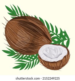 coconut coco nut exotic  milk palm tropical 