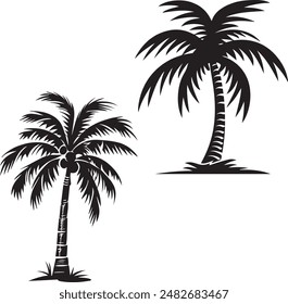 coconut, coco, palm tree, palm, silhouette, leaf