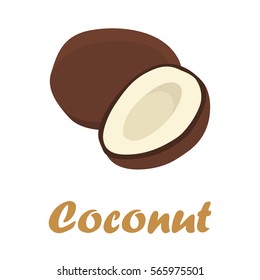 Coconut color icons in cartoon design