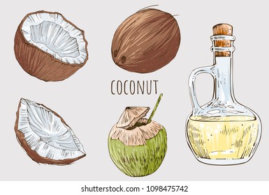 Coconut Color Set, Whole, Cracked Pieces And Oil, Vector