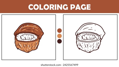 Coconut coloring page for kids vector illustration