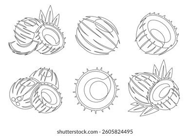 Coconut continuous one line drawing icon set. Editable stroke. Outline coconut fruit collections isolated on a white background. Vector illustration