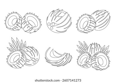 Coconut continuous one line drawing icon set. Editable stroke. Outline coconut fruit collections isolated on a white background. Vector illustration