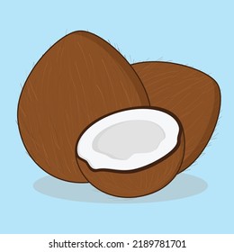 coconut. coocnut brown vector logo icon design illustration wallpaper background