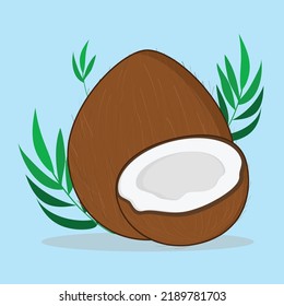 coconut. coocnut brown vector logo icon design illustration wallpaper background