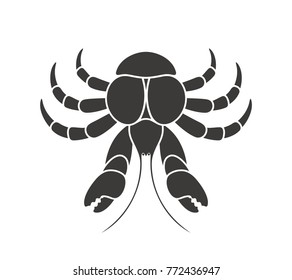 Coconut crab. Isolated crab on white background