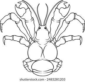 Coconut Crab Line Vektorillustration isoliert auf weißem Hintergrund