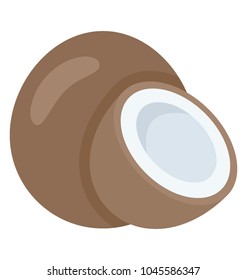 A coconut with cross-section 