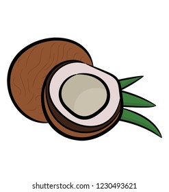 A coconut with cross-section icon