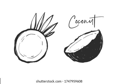 La mitad del coco y la mitad del coco. Conjunto de ilustraciones de frutos de la línea negra. Esbozo gráfico vectorial en estilo dibujado a mano. Elementos tropicales frescos sobre fondo blanco.