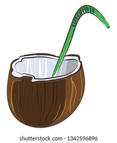 Coconut cut in half with a green straw vector illustration on white background 