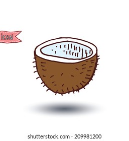 coconut cut isolated, vector illustration. 