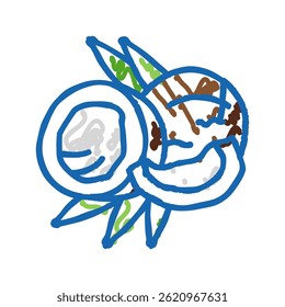 coconut cut leaves doodle icon sketch vector. coconut cut leaves sign. isolated symbol illustration