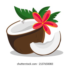 Coconut cut with red flower Vector illustration isolated on white 