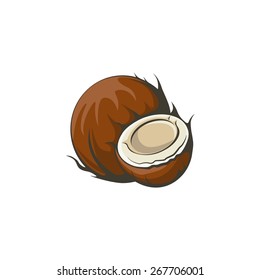 Coconut and coconut cut. Vector illustration.