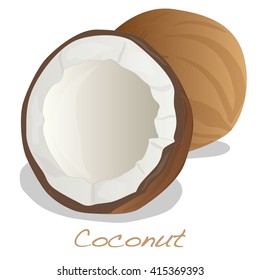 coconut cut vector on white background