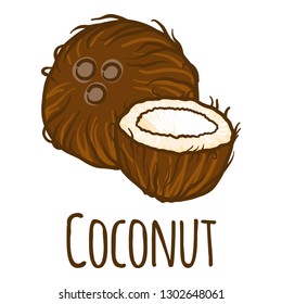 Coconut cutted icon. Hand drawn illustration of coconut cutted vector icon for web design