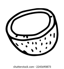 Coconut doodle style vector illustration isolated on white background