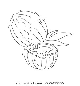 Coconut doodle Vector illustration coloring book for Kids