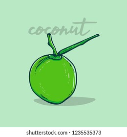 coconut drawing illustration