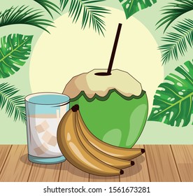 coconut drink and bananas over tropical leaves and retro style background, colorful design , vector illustration